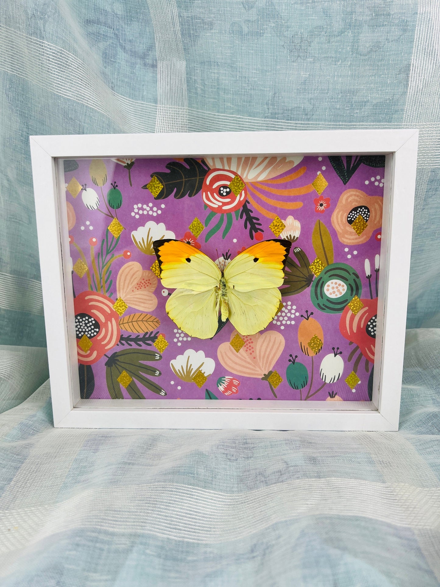 Echte vlinder | Anteos Menippe op print in lijst (23x19cm)