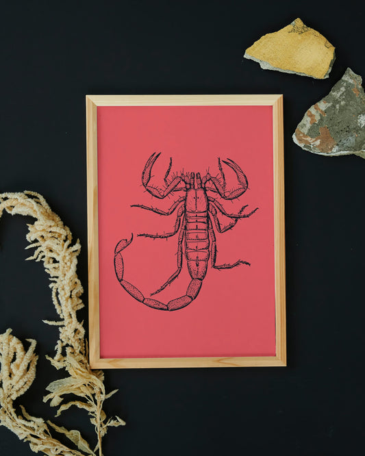 Scorpio Zodiac Poster | Digital Download | Bold Red Scorpio Illustration | Printable Wall Art in Multiple Sizes JPG