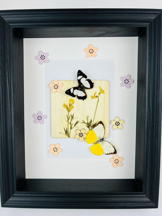 Framed Real Butterflies with Dried Flowers and Wooden Floral Accents – 11x9 Inch (28x23 cm) Shadow Box
