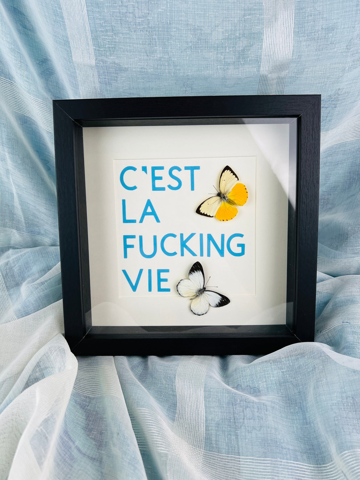 Framed Real Butterflies with 'C'est La Vie' - Elegant Home Decor