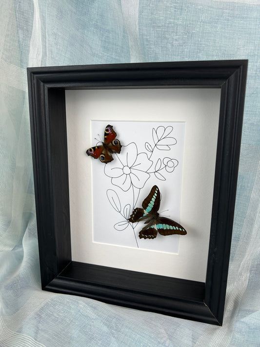 Real butterflies Aglais Io and Graphium Sarpedon in frame