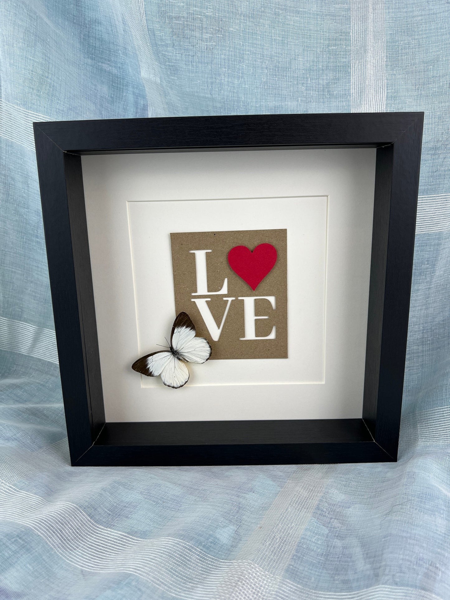 Framed real butterfly Appias and love letters