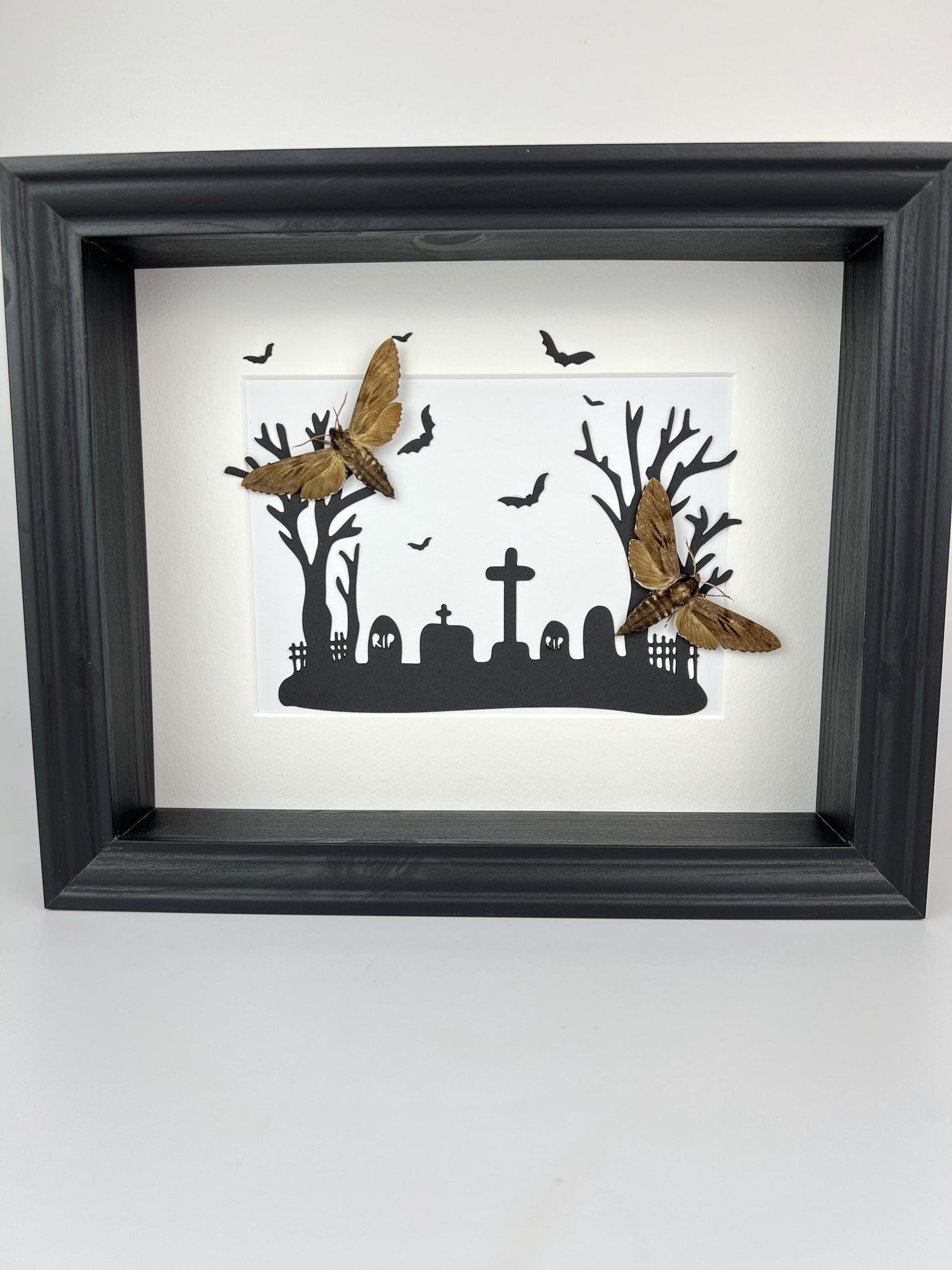 Framed Real Sphinx Ligustri Moths in Halloween-Themed Graveyard Frame – 11x9 Inch (28x23 cm) - Unique Gothic Decor