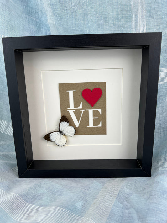 Framed real butterfly Appias and love letters