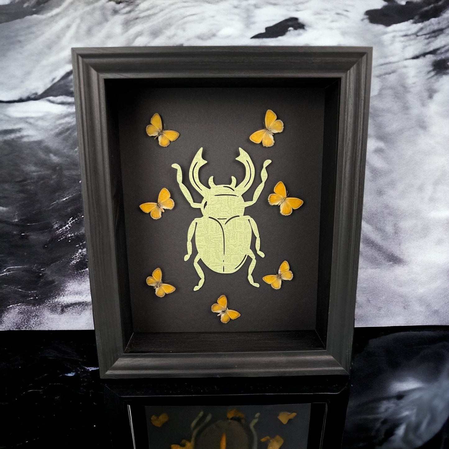 Butterfly Taxidermy Art with Intriguing Paper Beetle - Home Decor