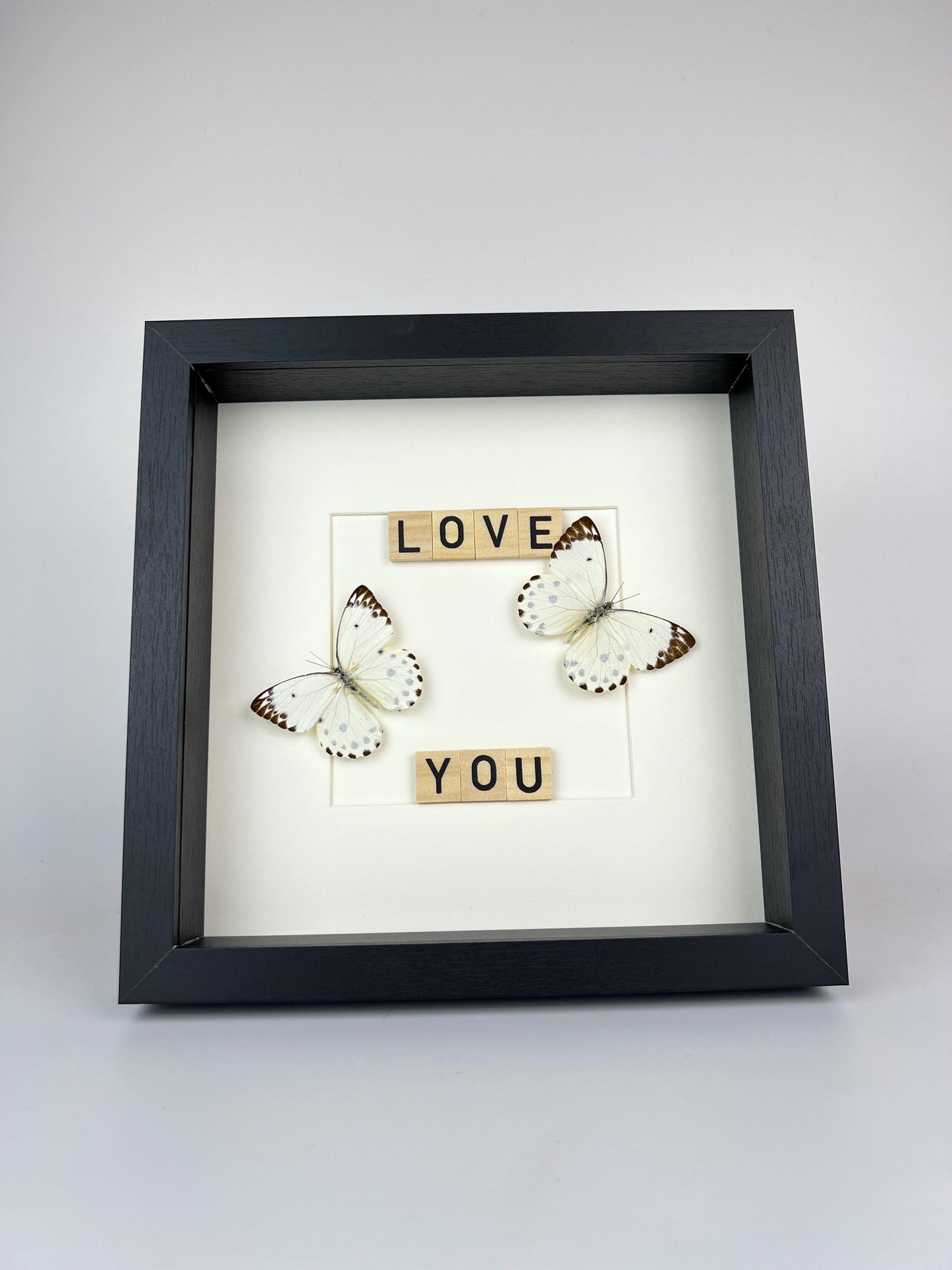 Framed Hebemoia Leucippe Butterfly | Black Frame 10"x10" | 25x25 cm