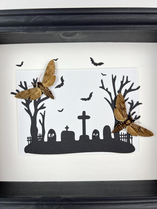 Framed Real Sphinx Ligustri Moths in Halloween-Themed Graveyard Frame – 11x9 Inch (28x23 cm) - Unique Gothic Decor