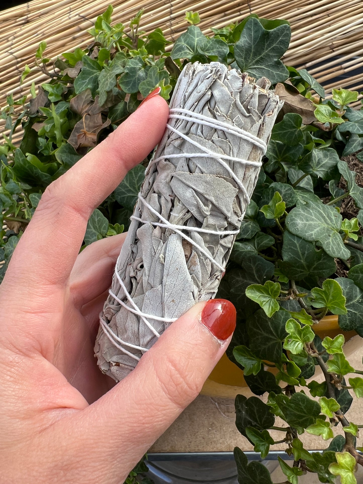 White sage