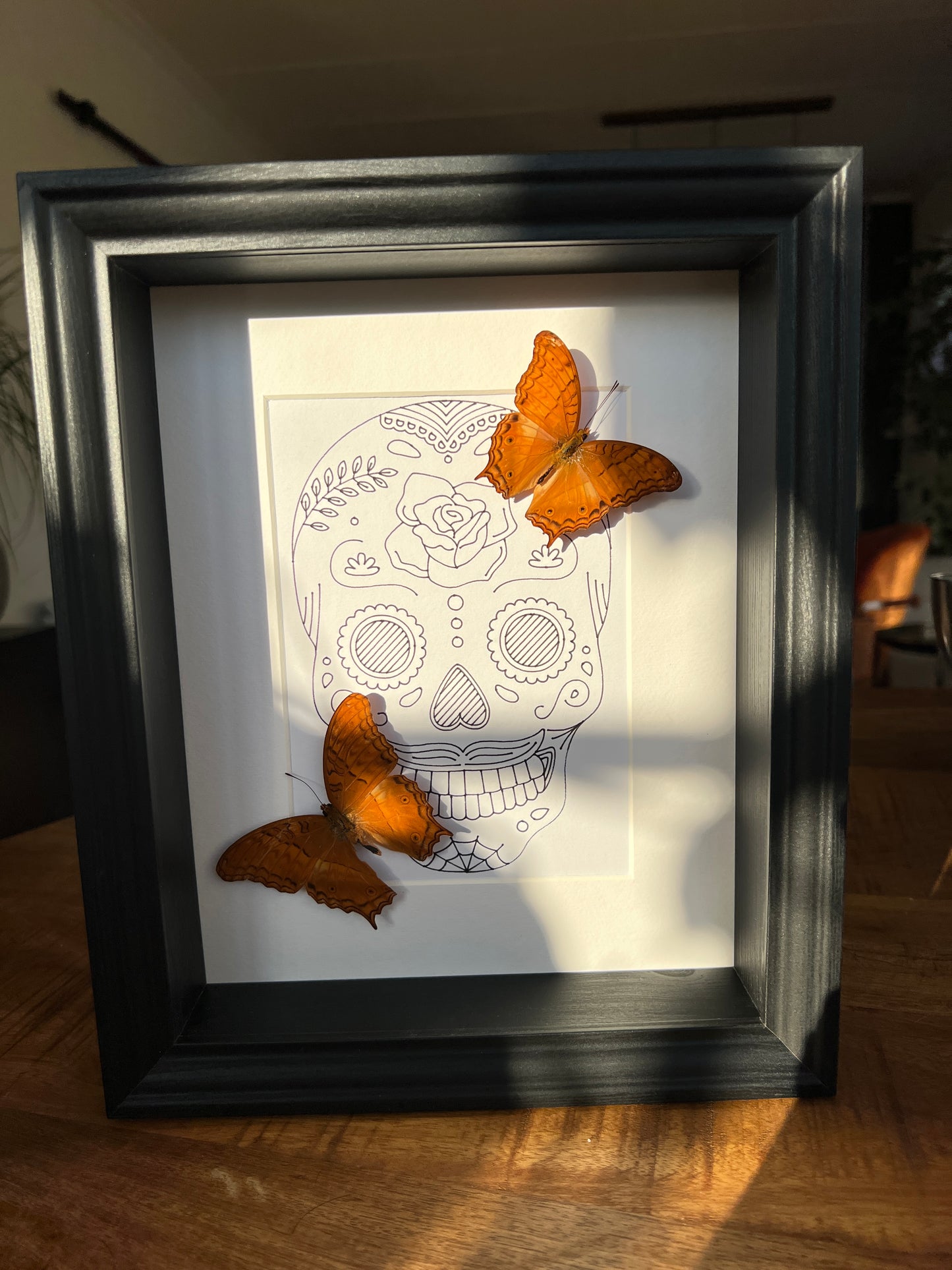 Vindula Erota met echte tekening in lijst