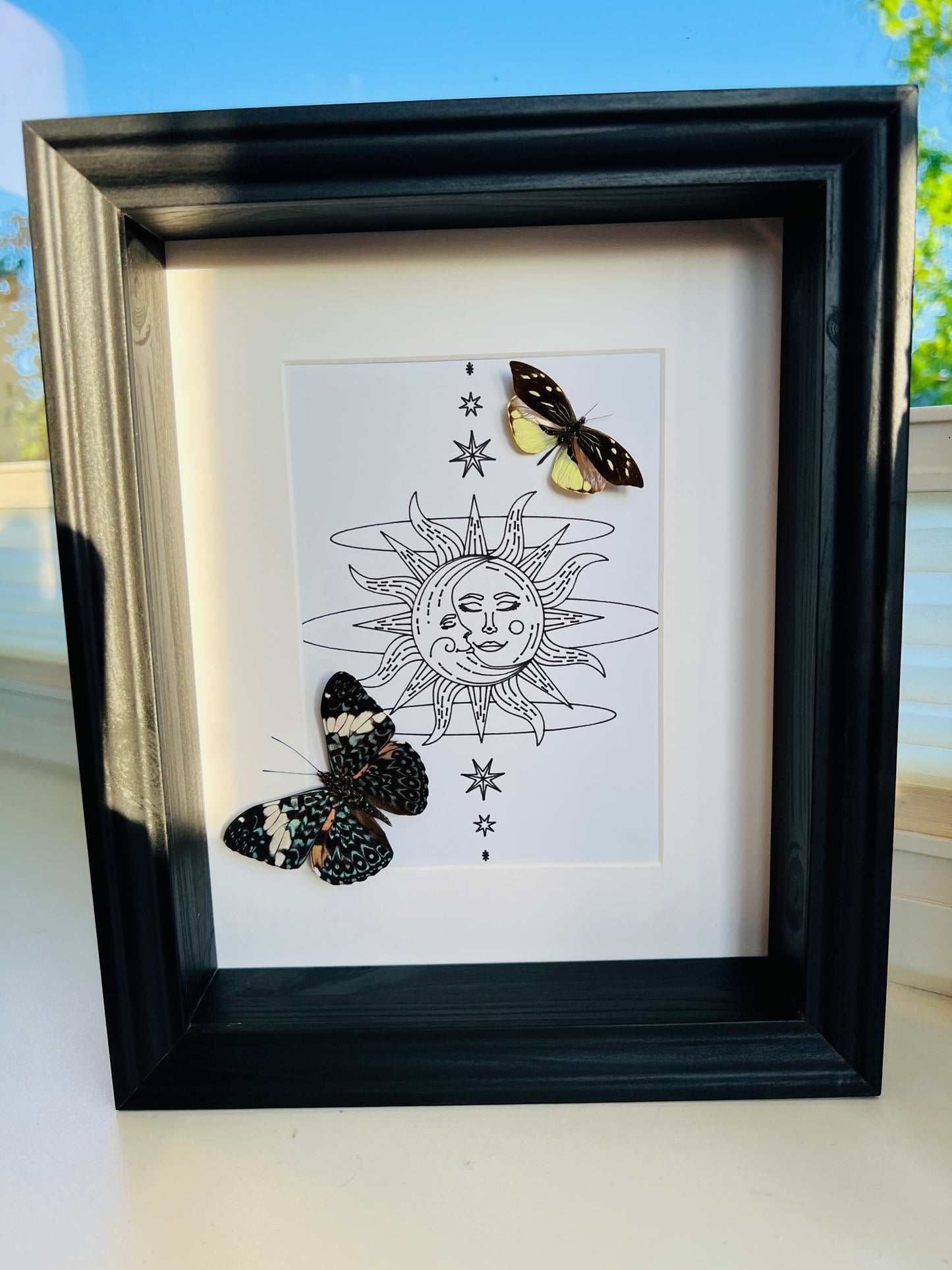 Hamadryas and Lieinix Nemesis with real drawing in frame