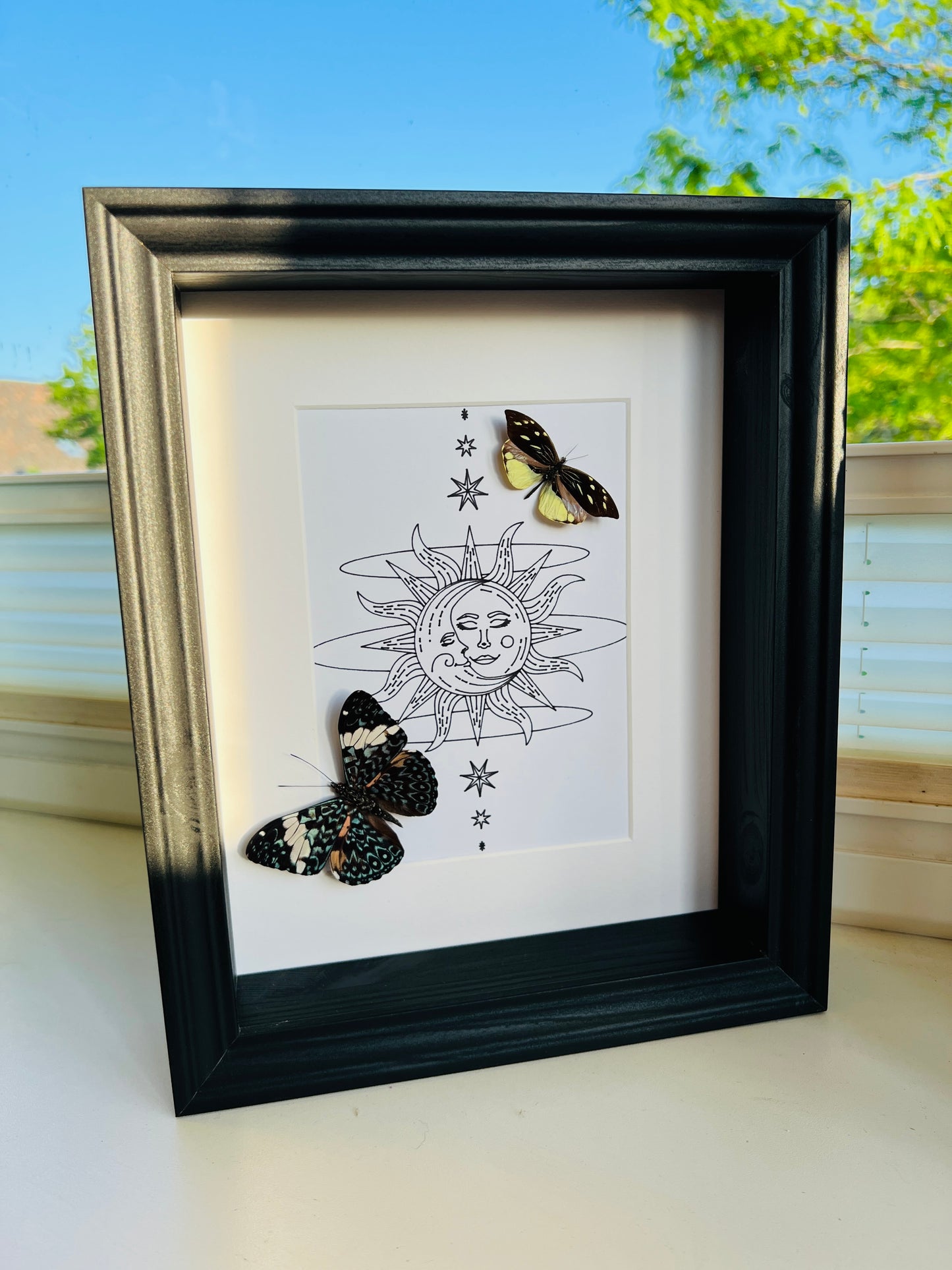 Hamadryas and Lieinix Nemesis with real drawing in frame