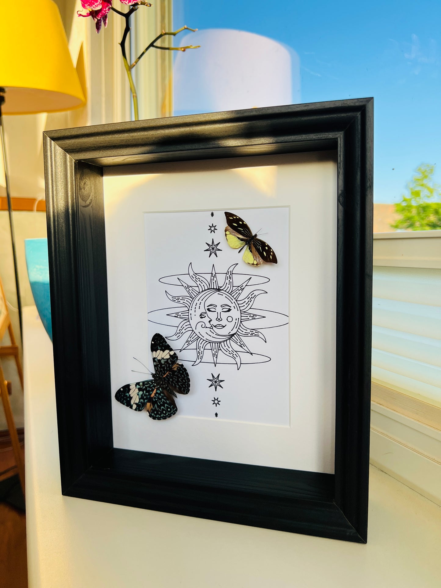 Hamadryas and Lieinix Nemesis with real drawing in frame