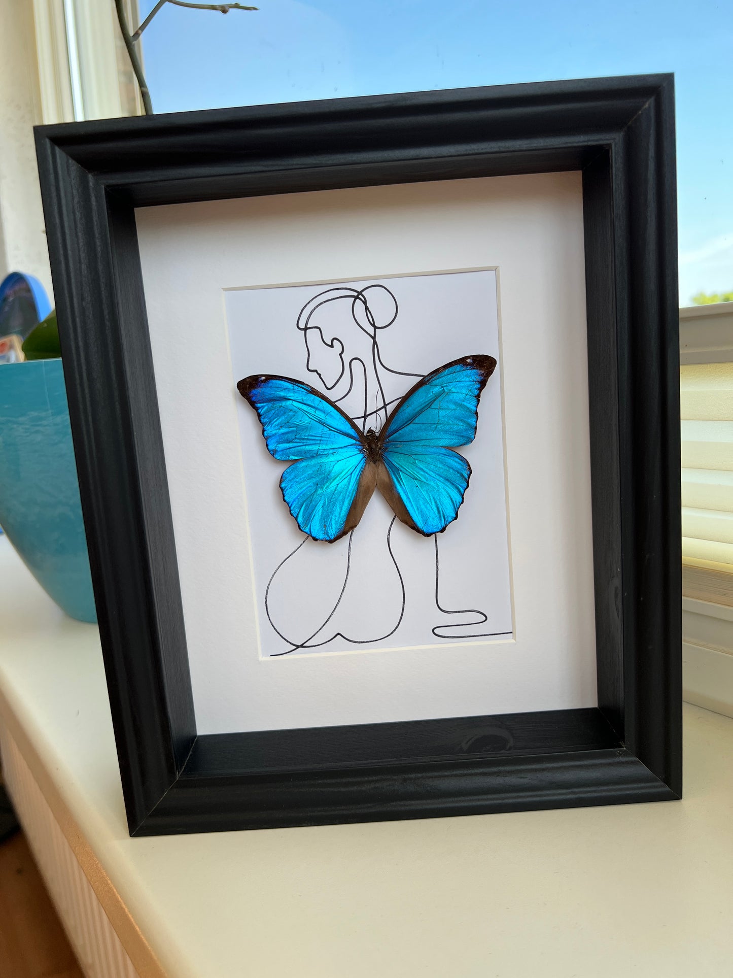 Morpho Menelaus met echte tekening in lijst