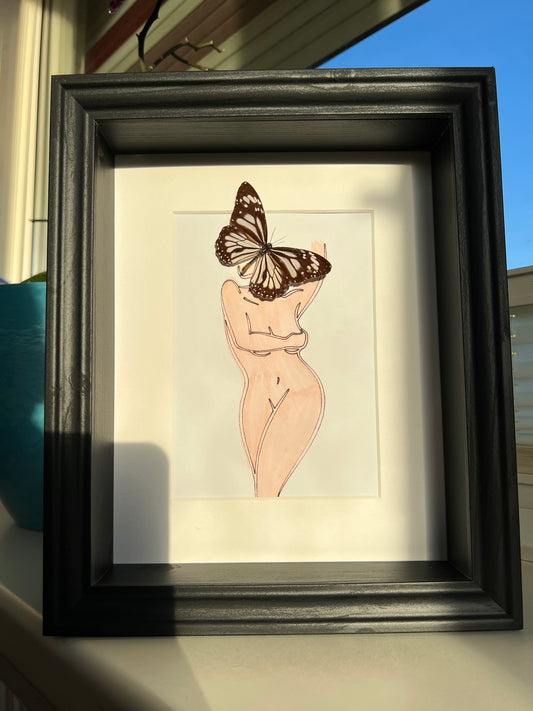 Parantica Sita met echte tekening in lijst