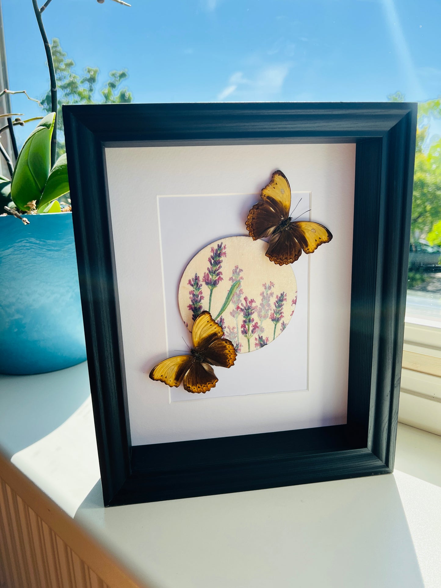Cymothoe Haynac met bloemenprint in lijst
