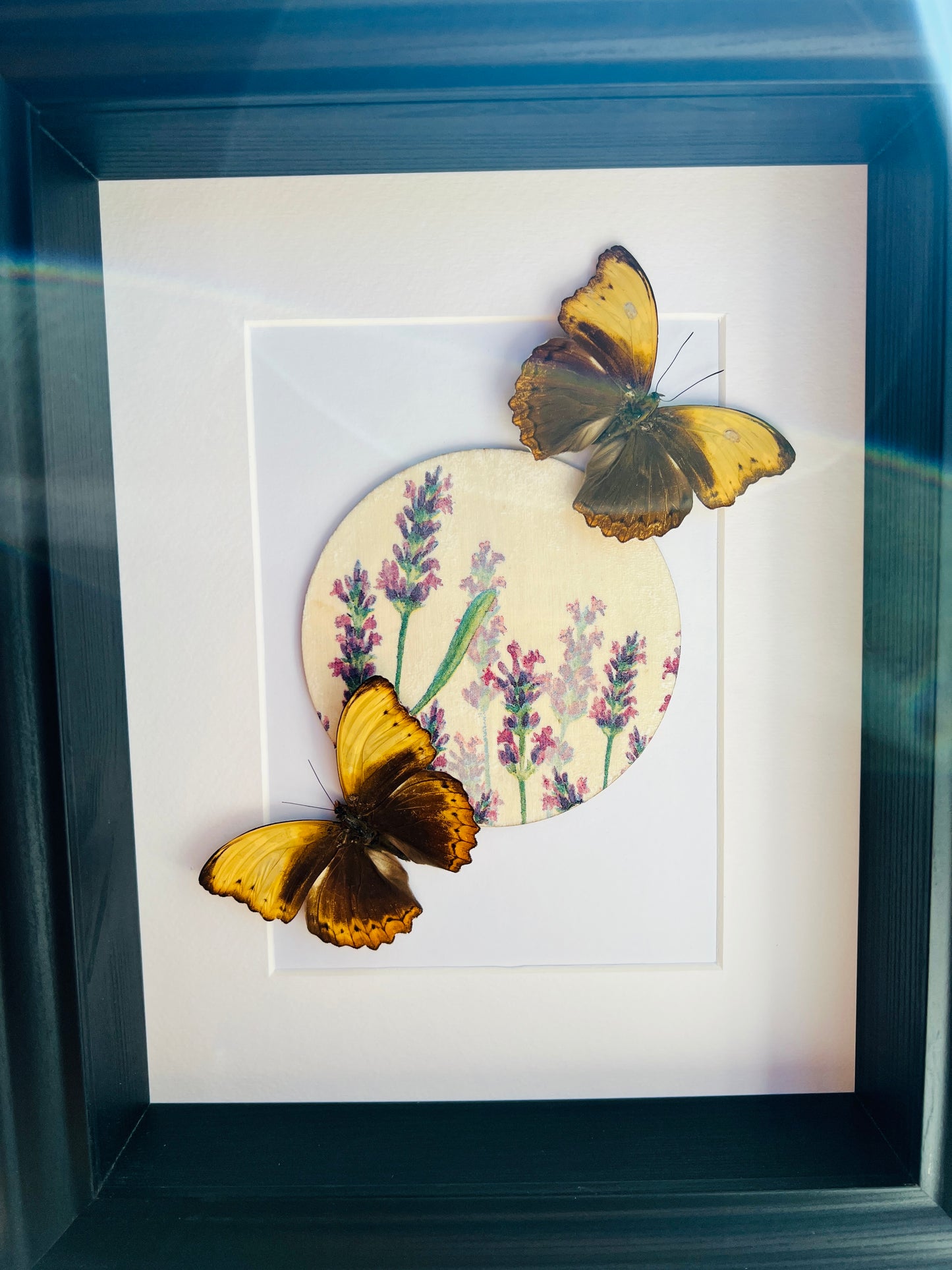 Cymothoe Haynac met bloemenprint in lijst
