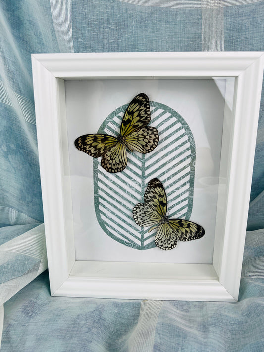 Nature-Inspired Wall Decor: Real Idea Leuconoe Butterflies with Artistic Print