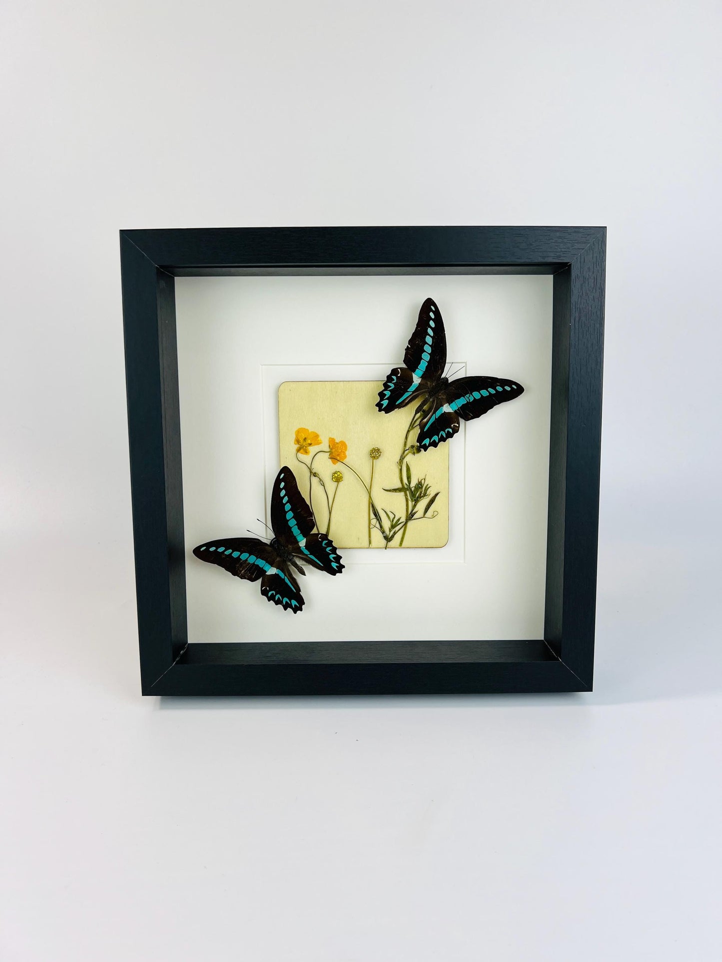 Handcrafted Butterfly Graphium Sarpedon and Wildflower Framed Wall Art - Nature-Inspired Decor