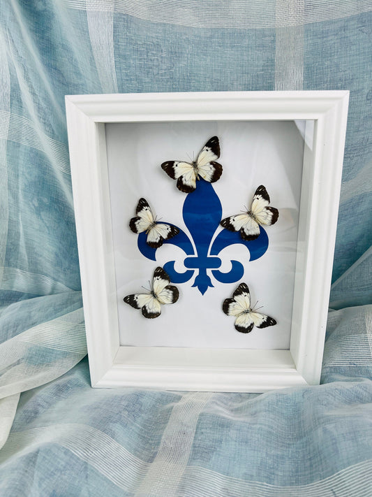 Echte vlinders | Belenois op Fleur de Lis print in lijst (28x23cm)