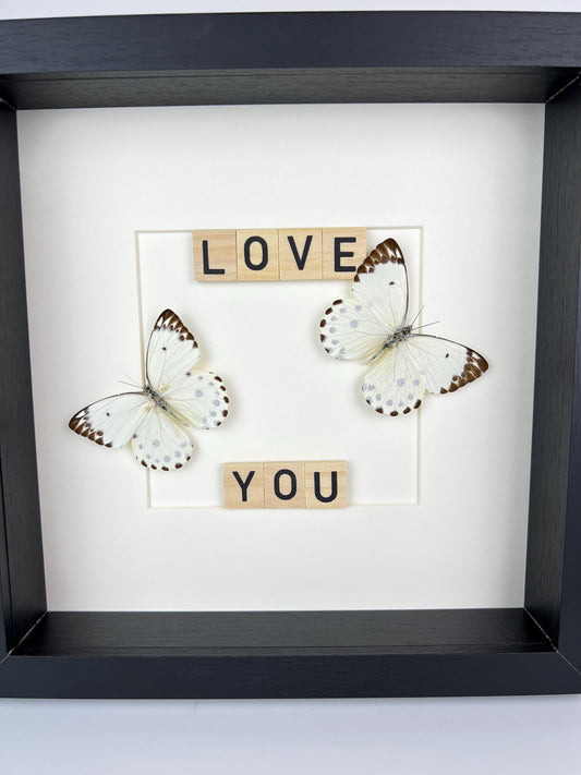 Framed Hebemoia Leucippe Butterfly | Black Frame 10"x10" | 25x25 cm