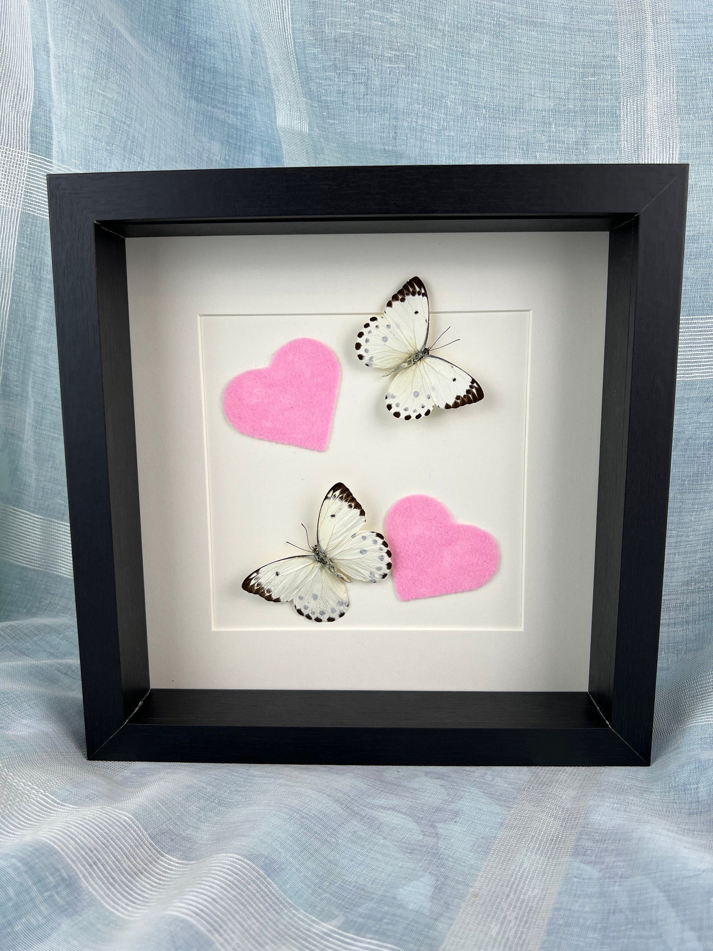 Framed real butterfly Belenois Calypso and felt pink hearts