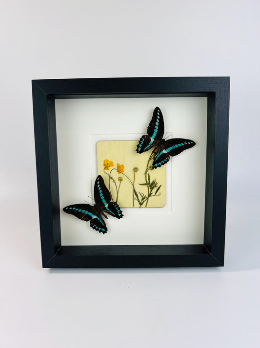 Handcrafted Butterfly Graphium Sarpedon and Wildflower Framed Wall Art - Nature-Inspired Decor