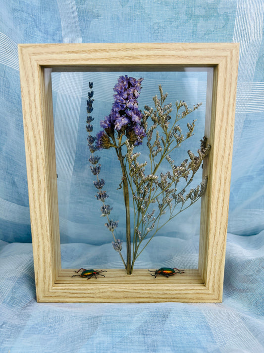 Echte insecten | Dubbelglas houten lijst met kevers en droogbloemen (22x17cm)