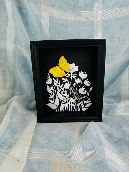 Echte vlinders | Phoebis Rurina en Graphium Antheus met print in lijst (28x23cm)