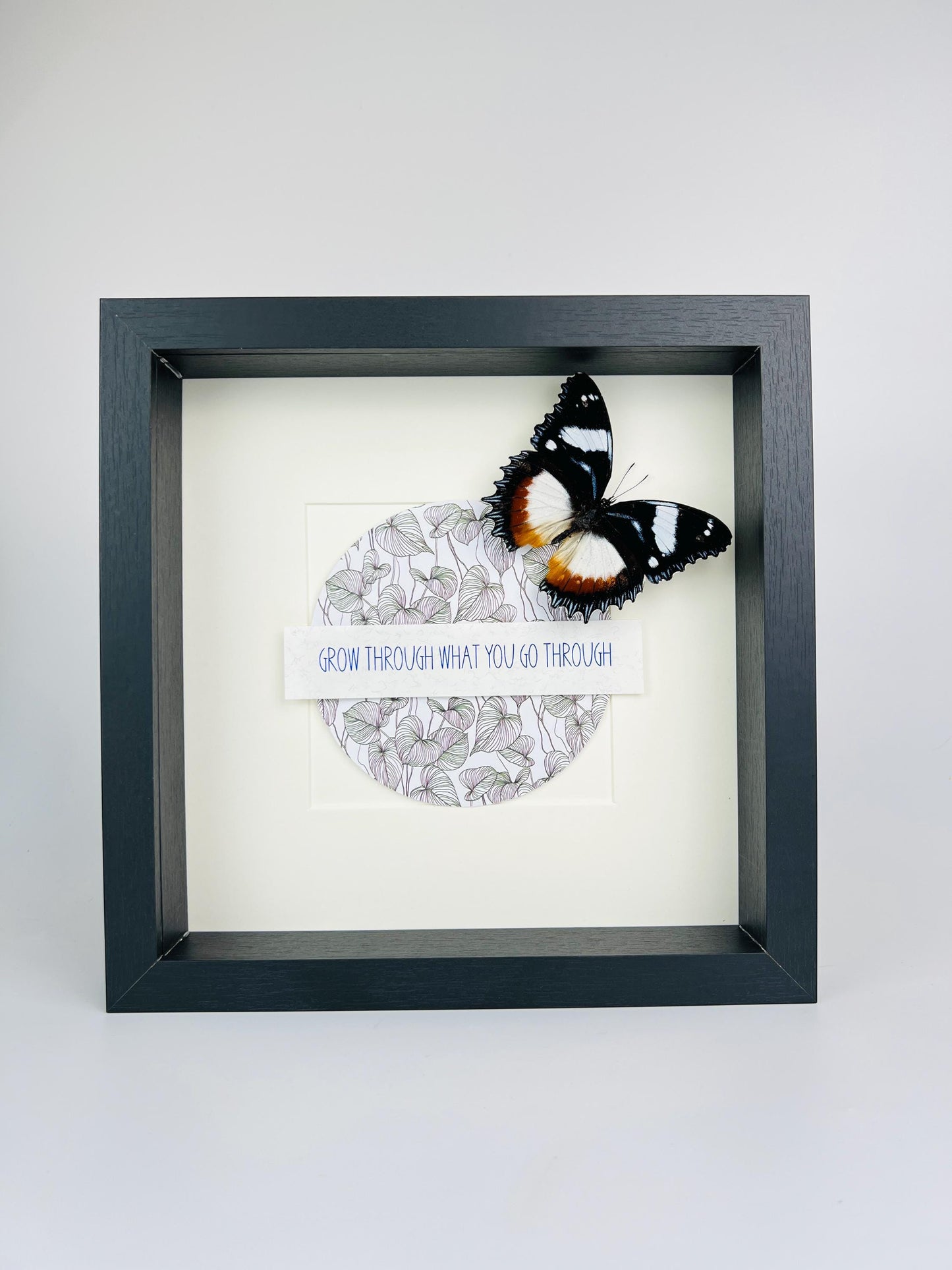 Framed Hypolimnas Dexithea with inspirational text – 25 x 25 cm (9.84 x 9.84 inches)