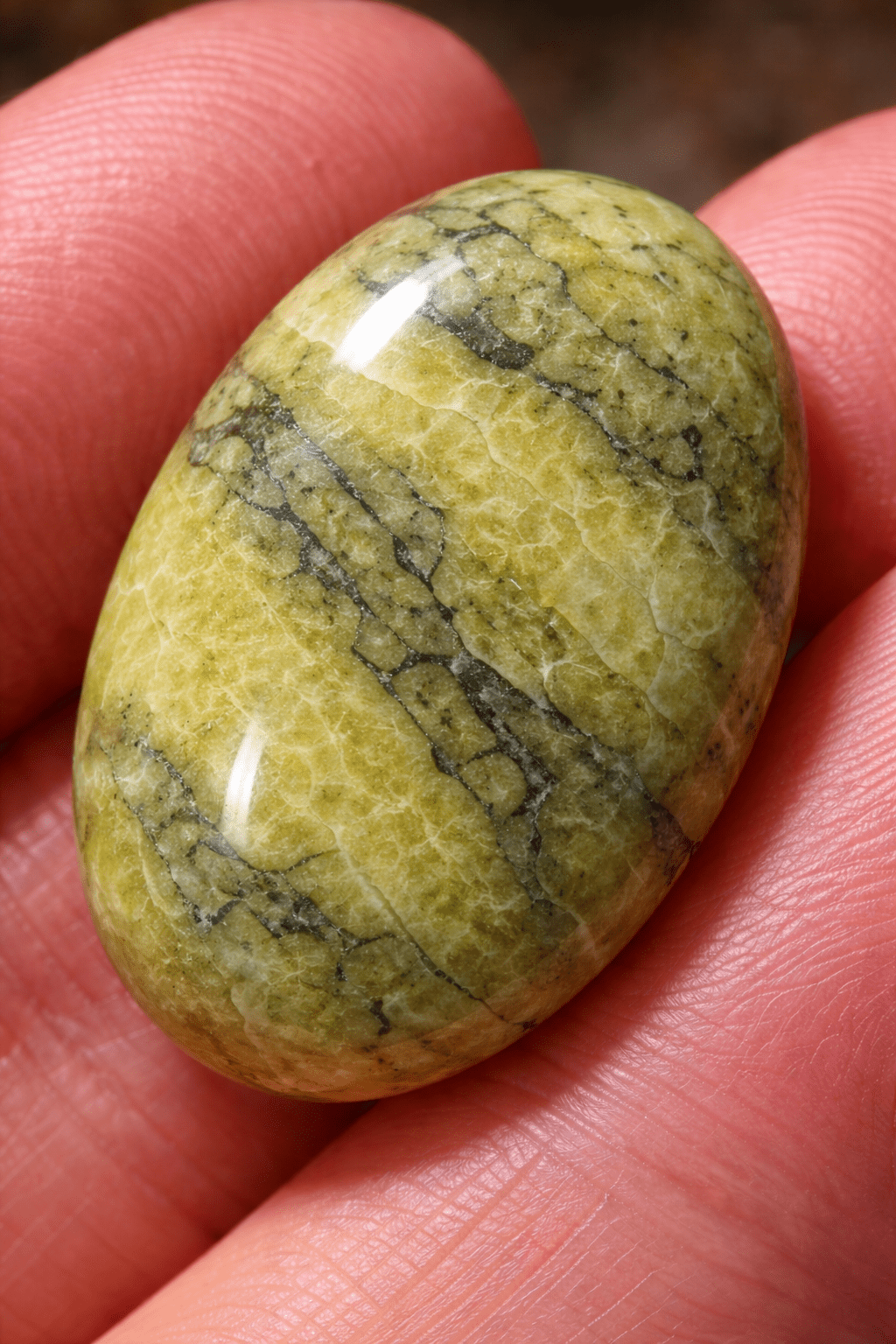 Serpentine – KEY LIME STORE