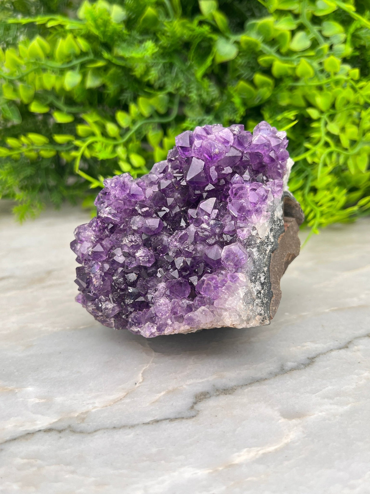 Amethist cluster pine by KEY LIME STORE
