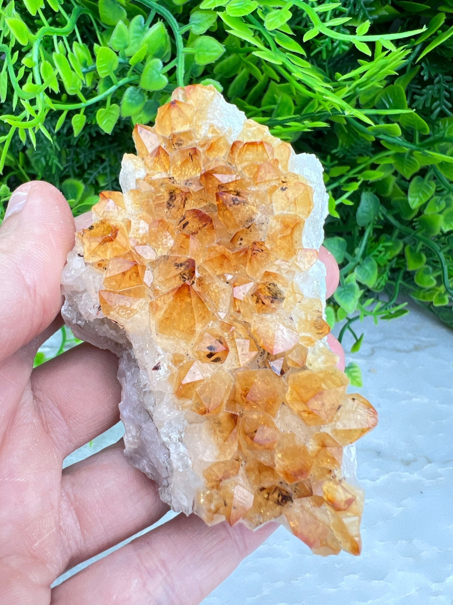 Citrin (gebrannter Amethyst) – Cluster (9 cm) von KEY LIME STORE