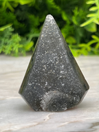 A close-up image of a black, triangular-shaped crystal or gemstone with a speckled surface, set against a blurred green background.