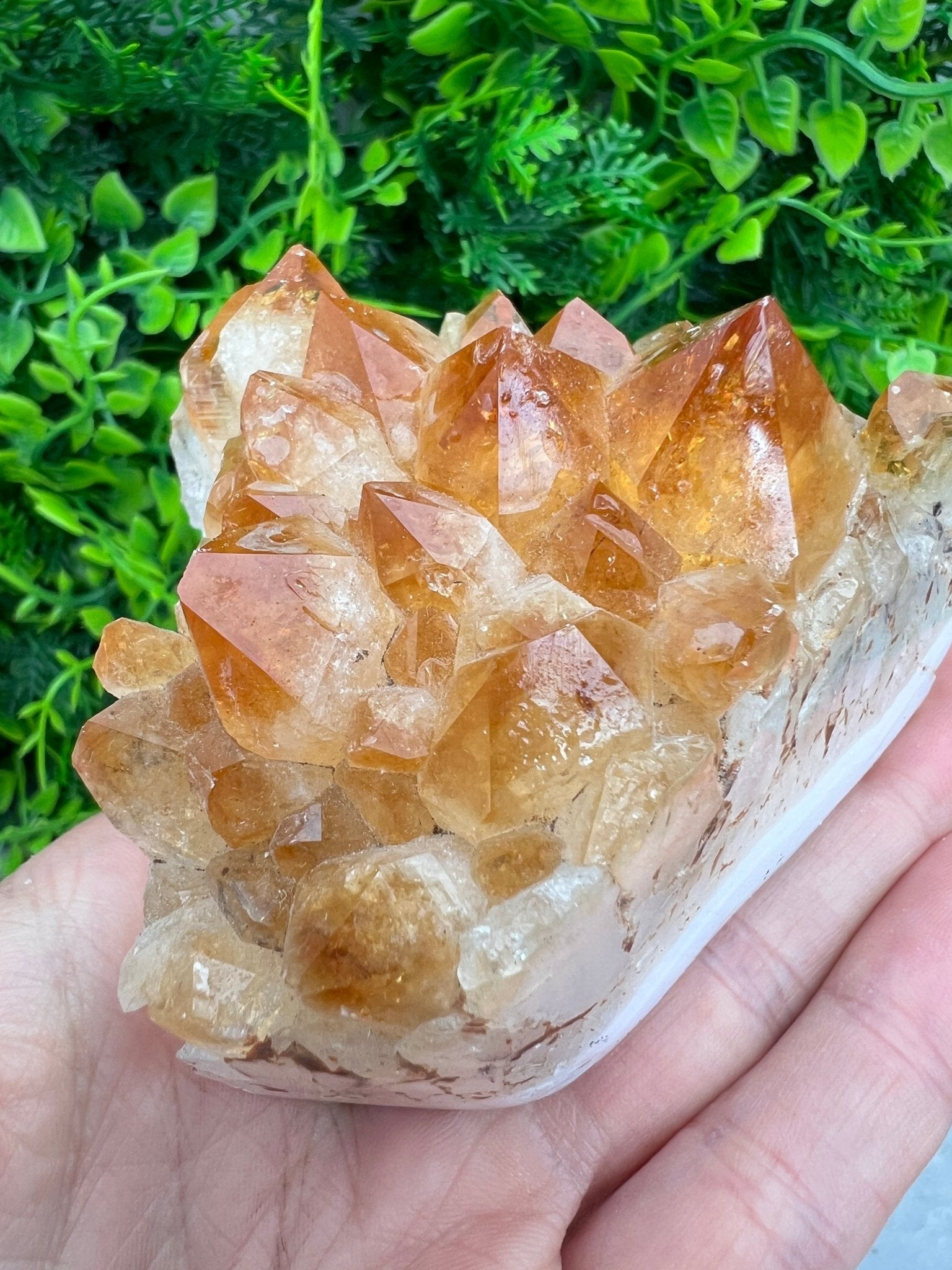 Citrin (gebrannter Amethyst) – Cluster (8 cm) von KEY LIME STORE