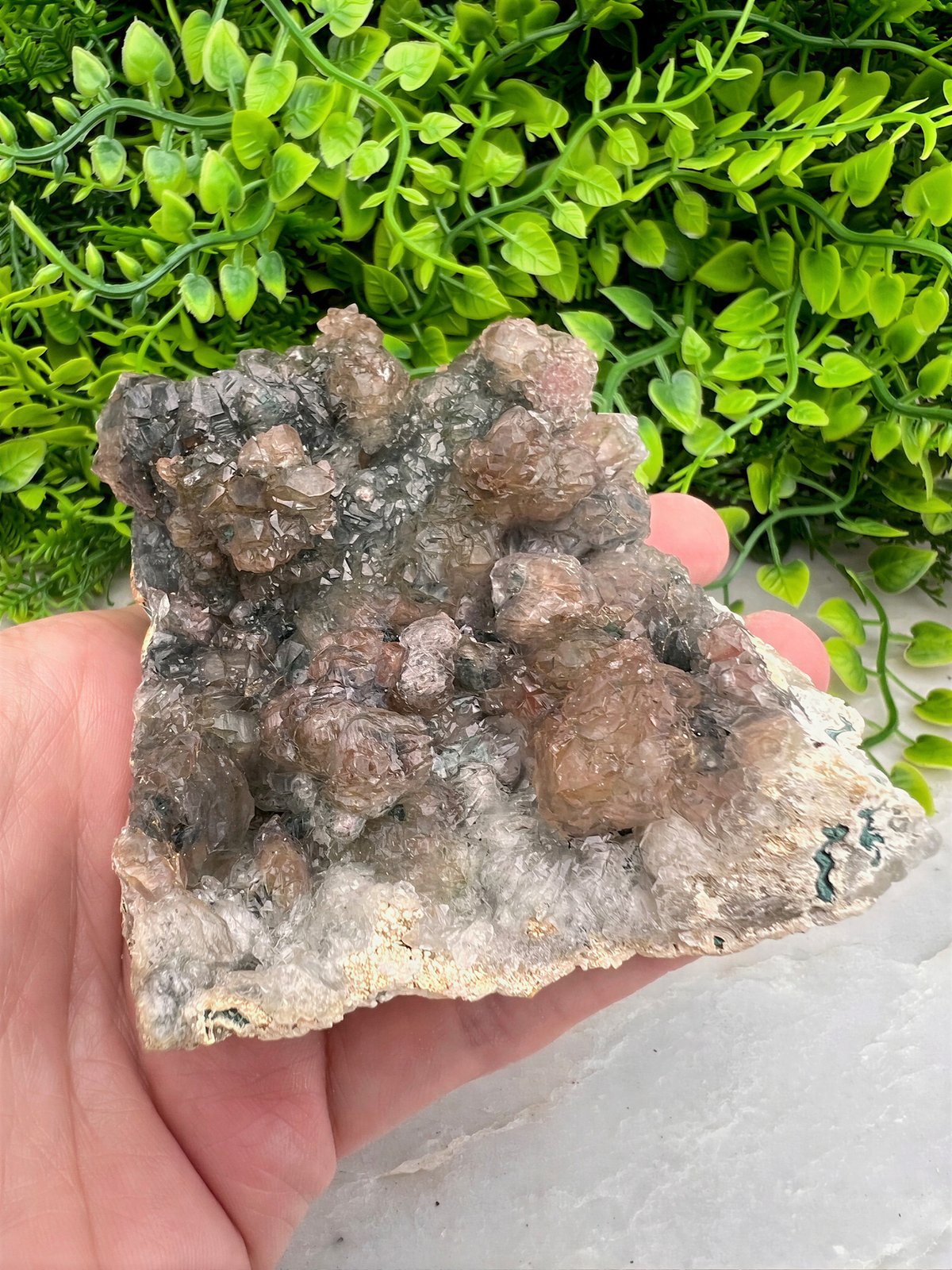 A hand is holding a piece of rock with a unique, irregular shape and a mix of brown and gray colors, set against a backdrop of green foliage.