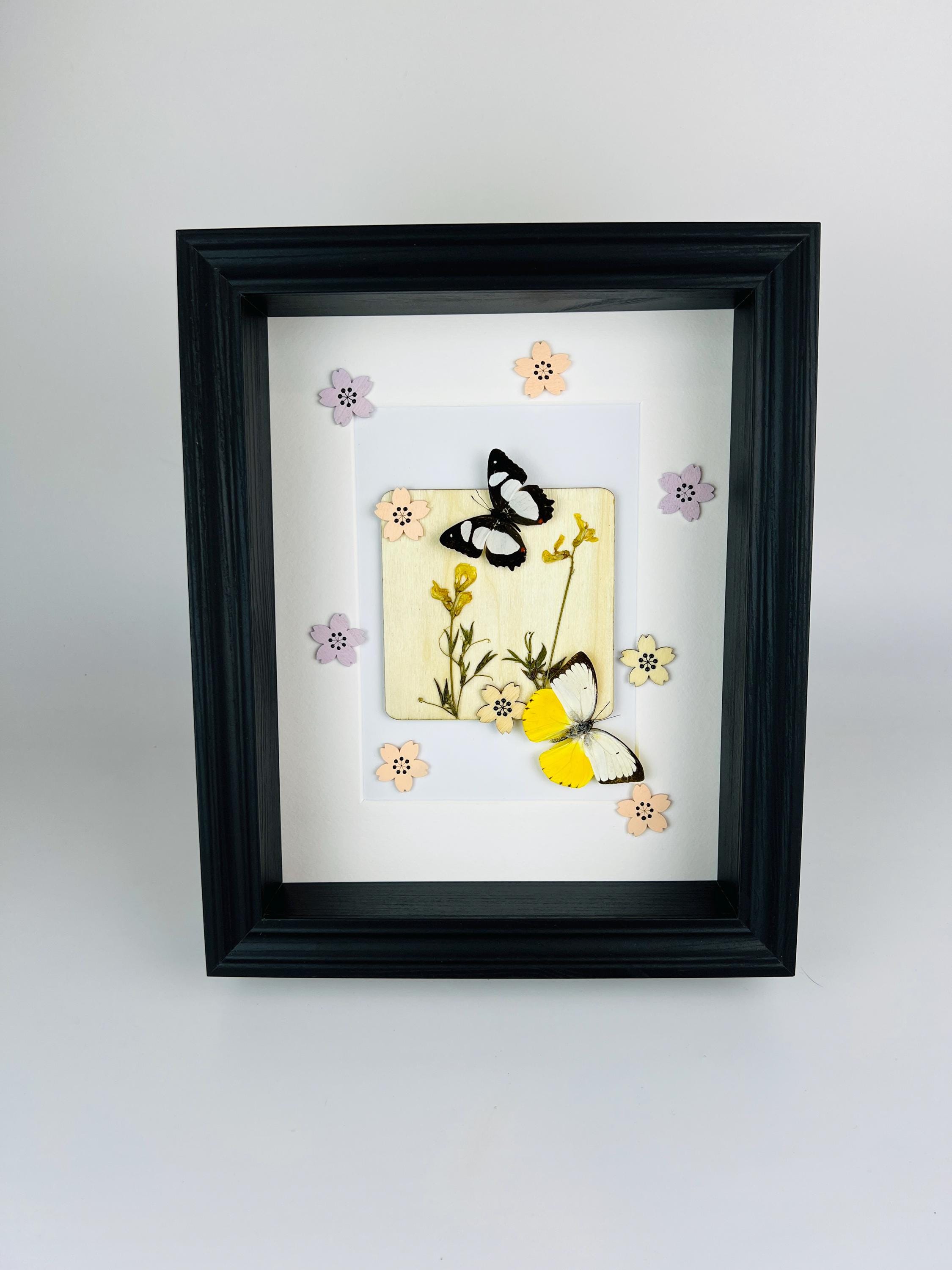 Schmetterlinge mit Trockenblumen und Dekoration im Rahmen