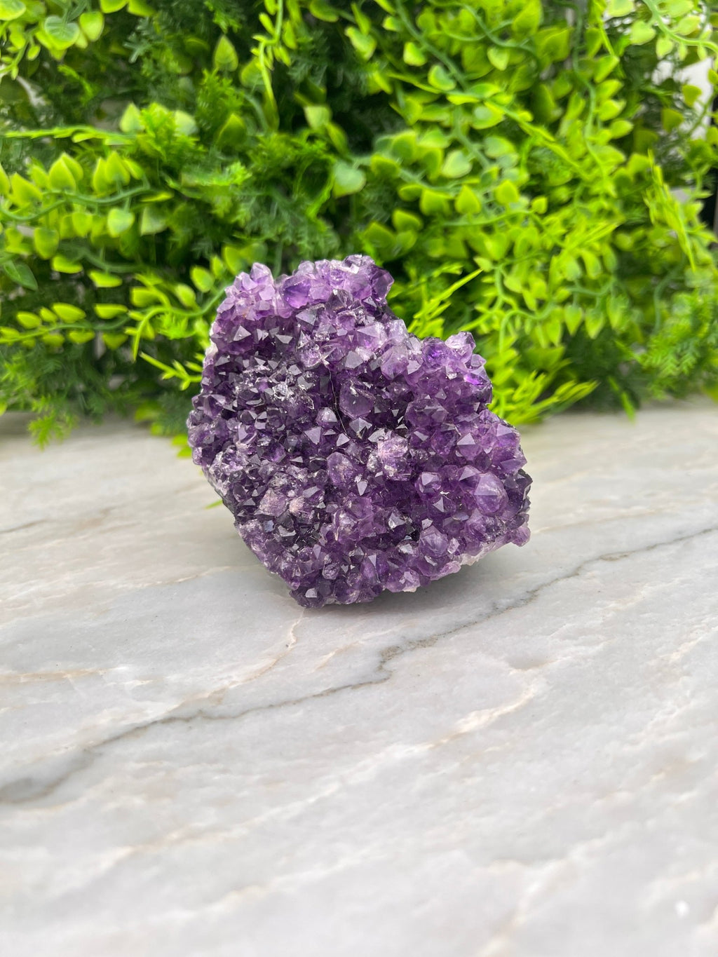 Amethist cluster pine by KEY LIME STORE