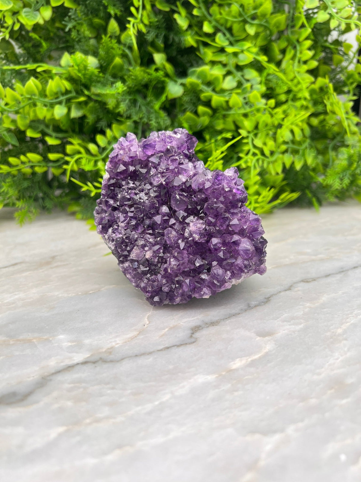 Amethist cluster pine by KEY LIME STORE