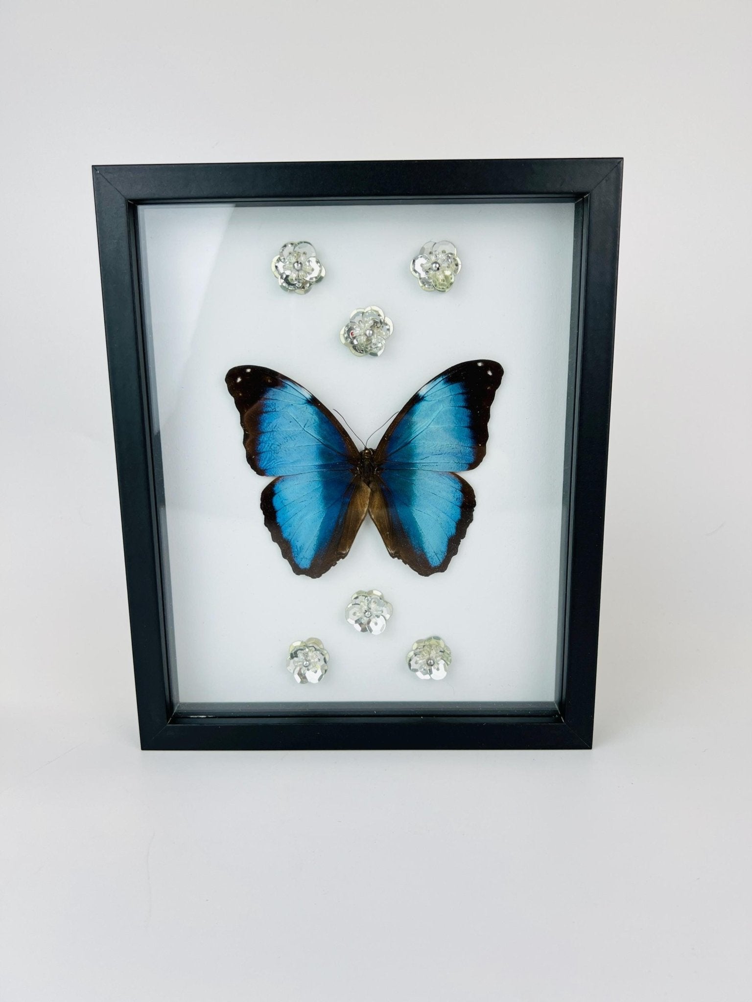 Morpho Deidamia mit Glitzerblumen im Rahmen von KEY LIME STORE