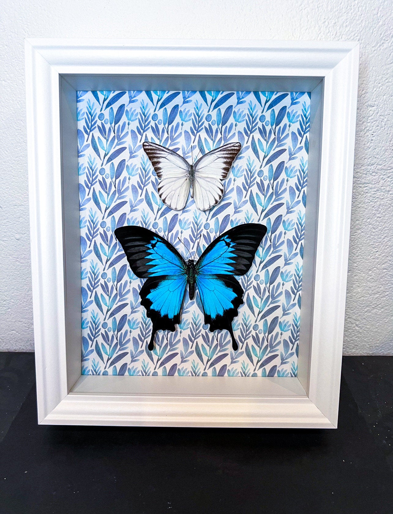 Papilio Ulysses en Appias Hombroni in lijst met print