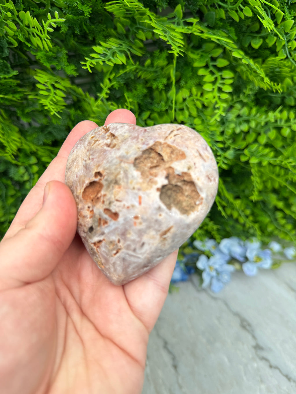 A hand holding a rock with a hole in it, surrounded by green foliage.