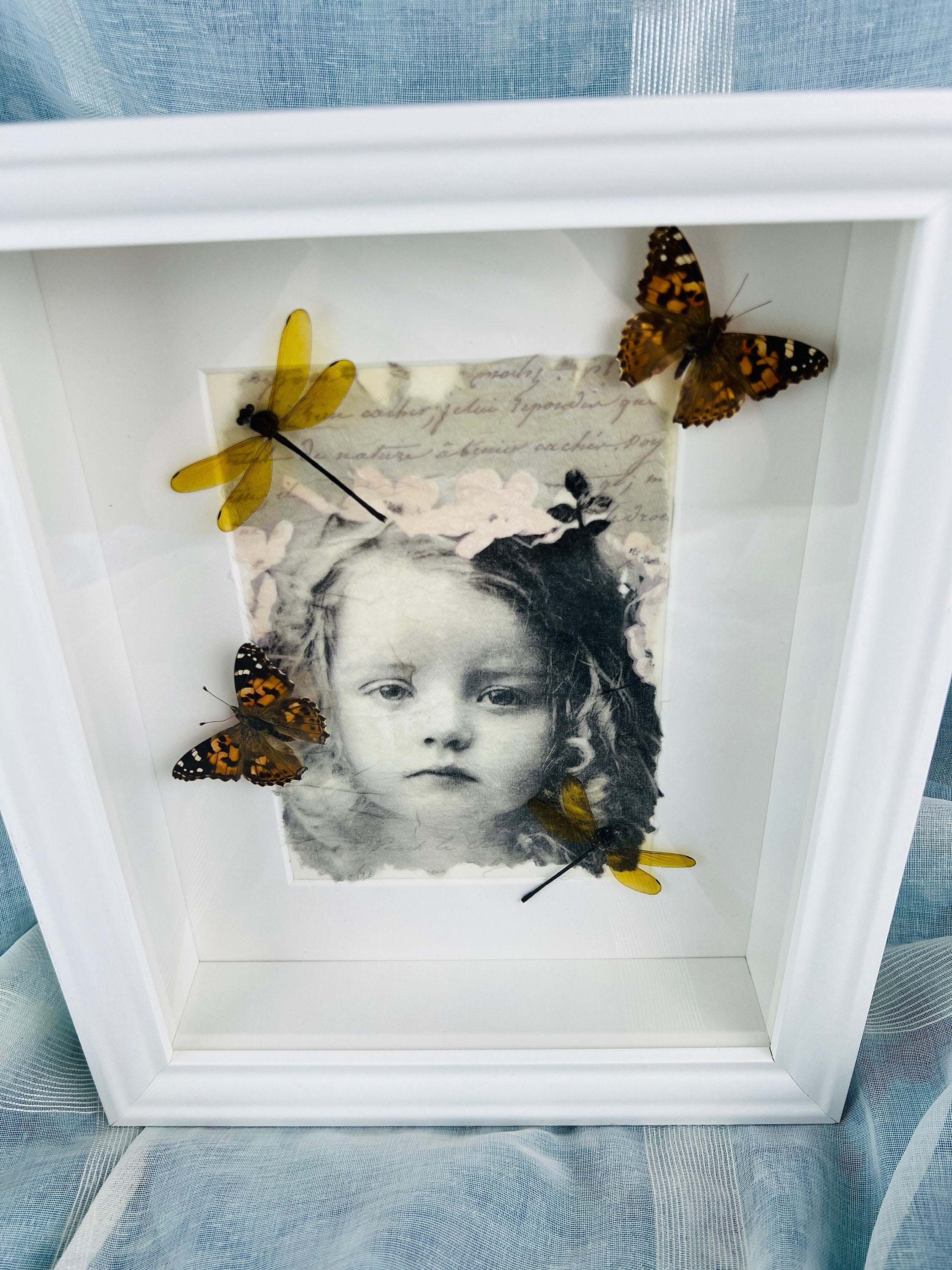 Vanessa Cardui en libelle op print in lijst