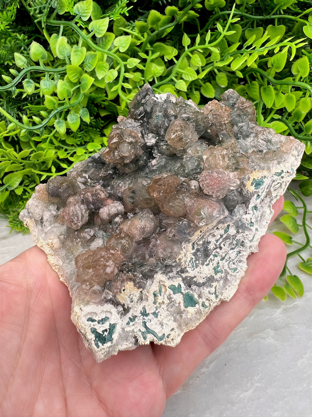 A hand is holding a piece of rock with a variety of minerals and crystals visible on its surface, set against a backdrop of green foliage.