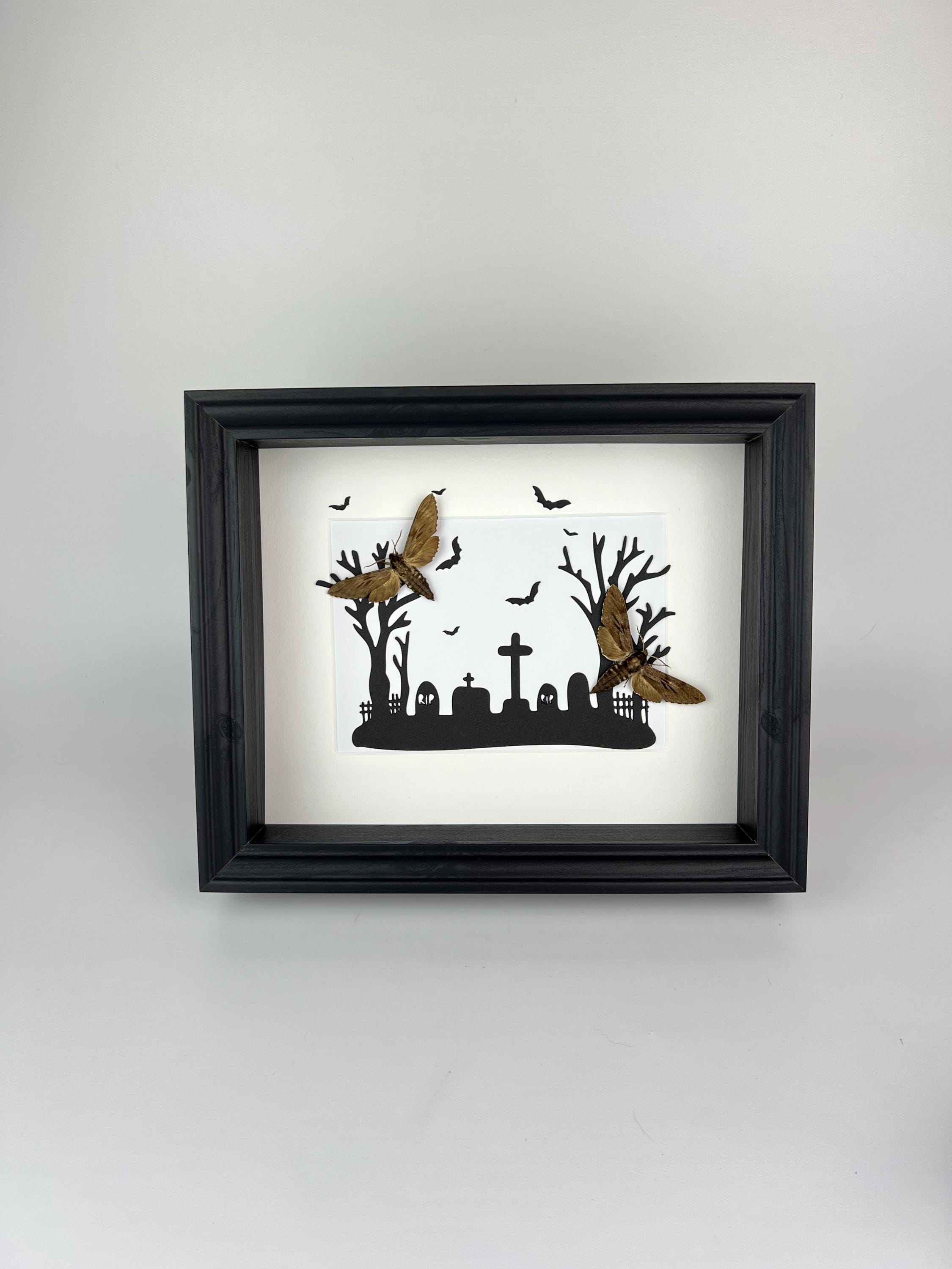 Sphinx Ligustri auf Halloween-Druck im Rahmen