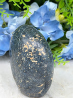 A close-up image of a black, speckled rock resting on a white surface, with blue flowers in the background.