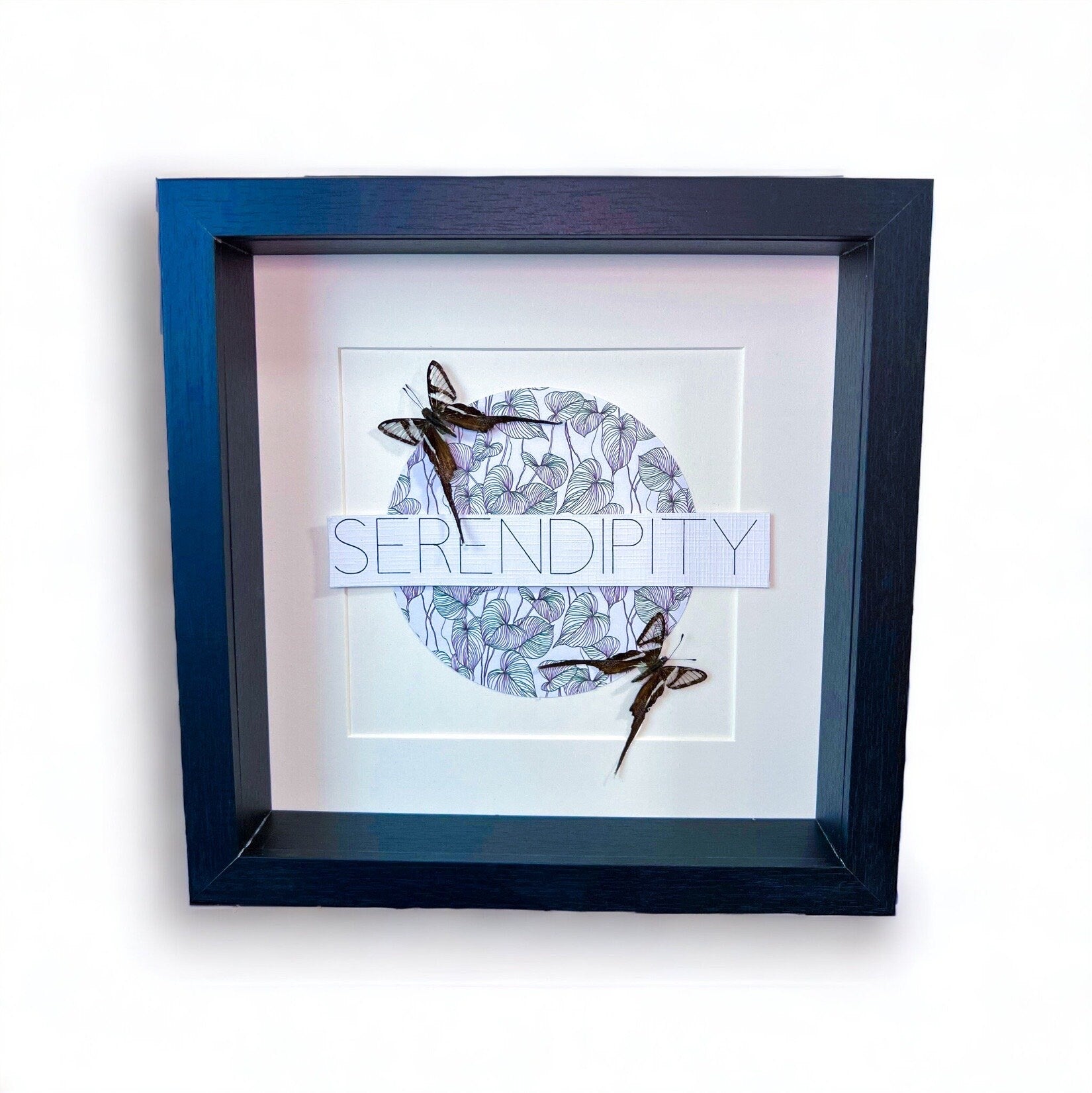 Lamproptera Meges im Rahmen