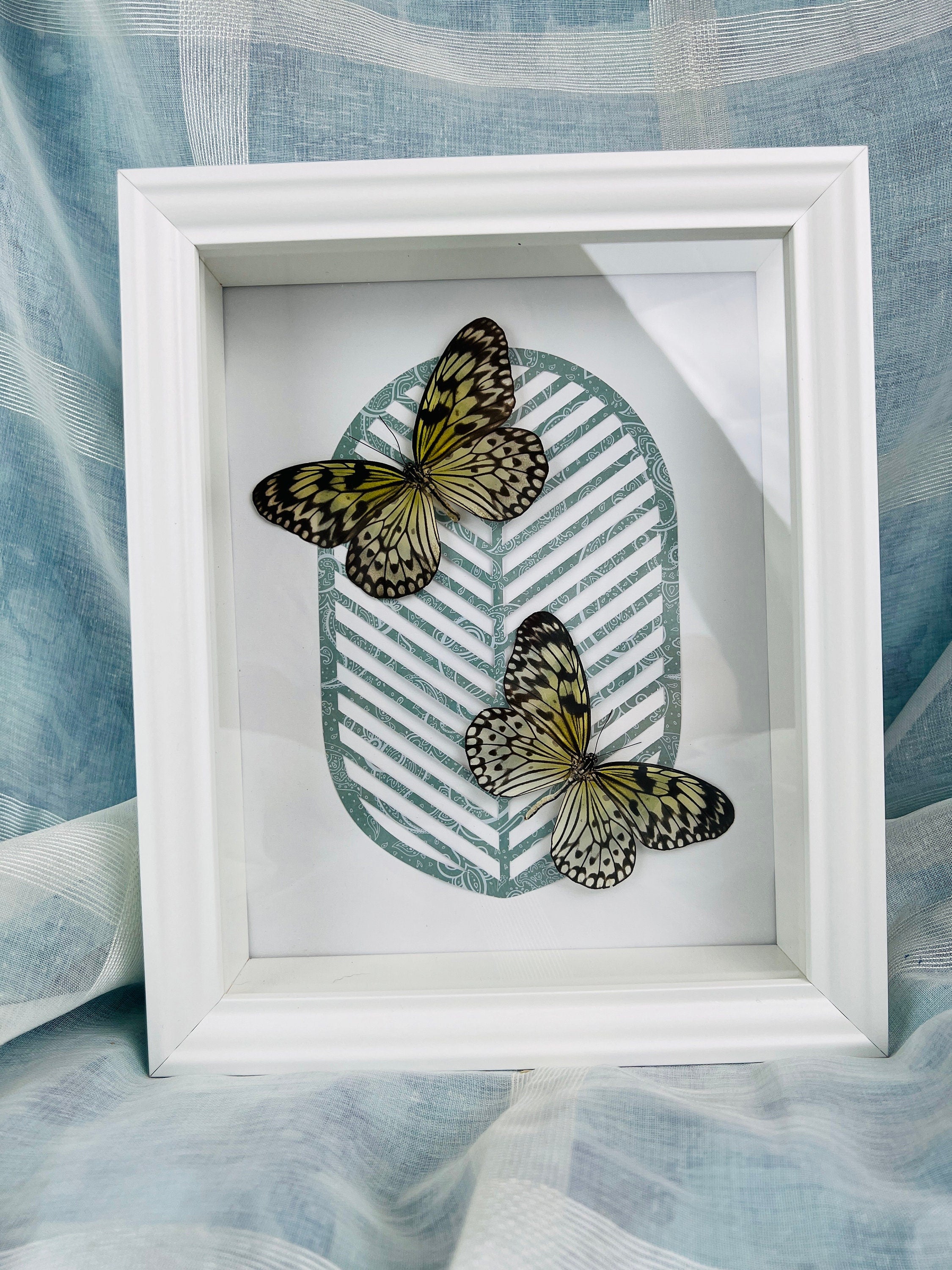 Idea Leuconoe op print in lijst