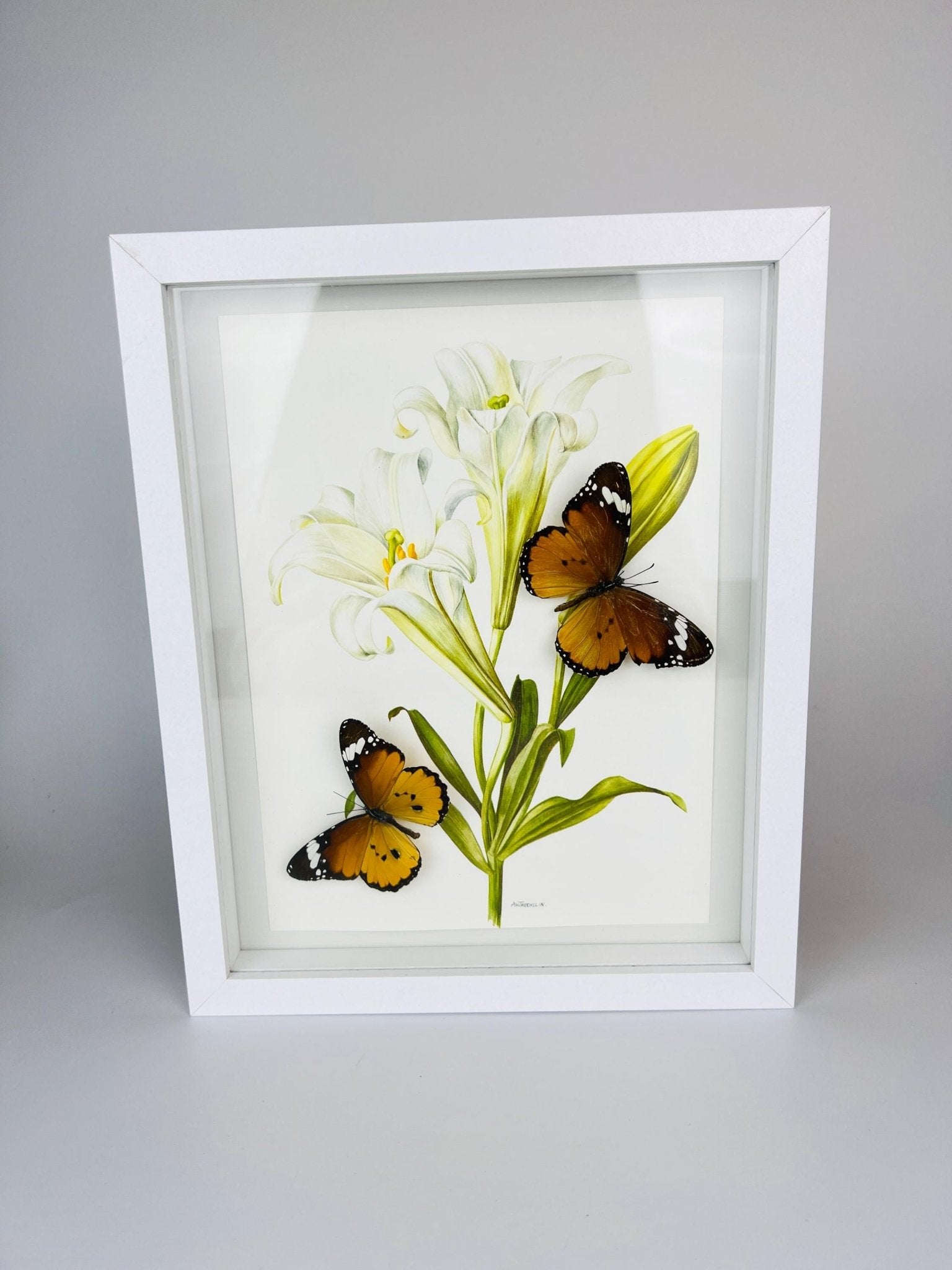 Danaus Chrysippus op vintage bloemenprint in lijst by KEY LIME STORE