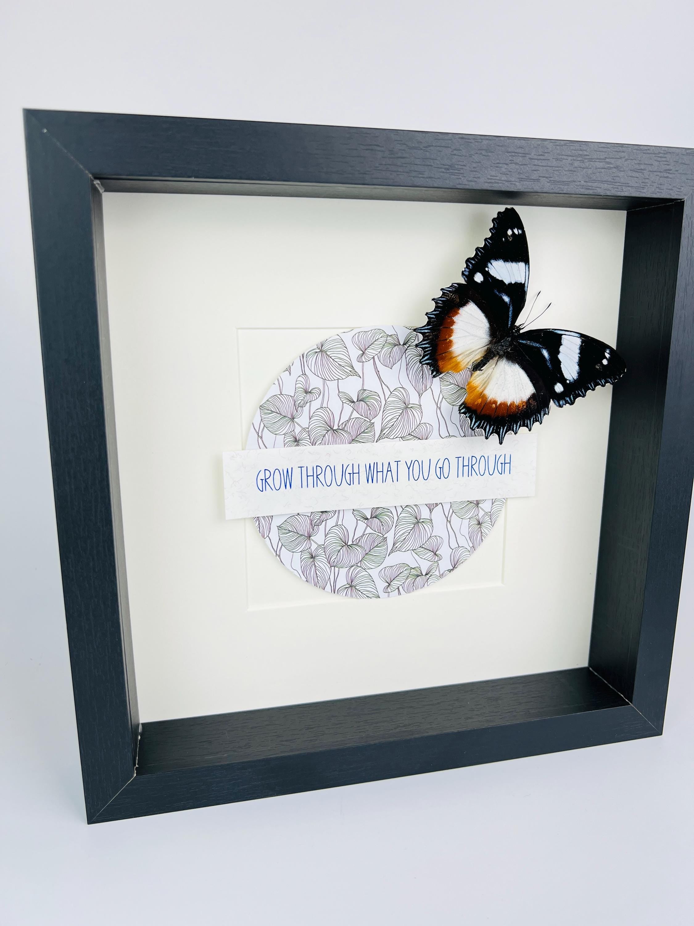 Hypolimnas Dexithea met tekst in lijst