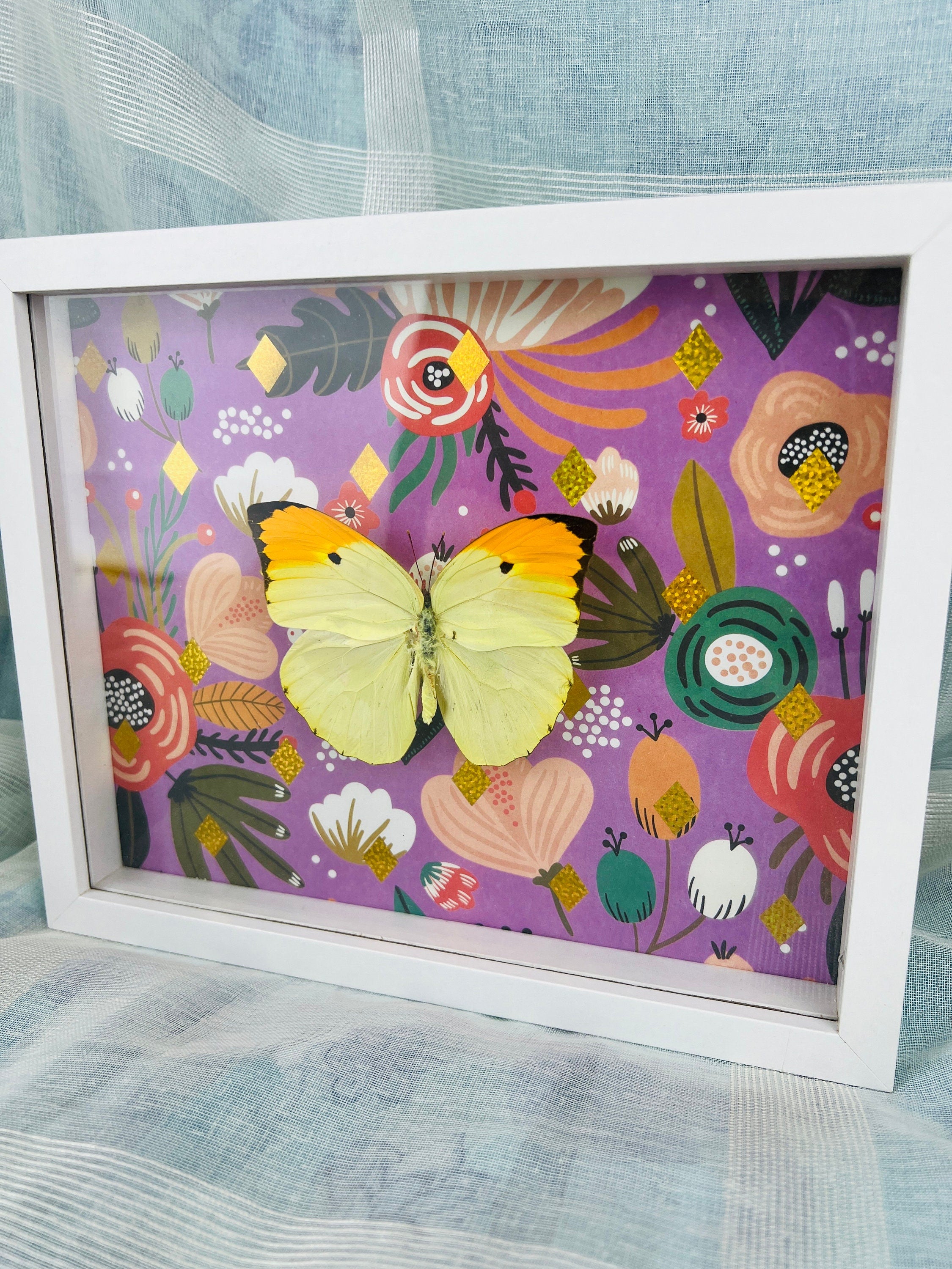 Echte vlinder | Anteos Menippe op print in lijst (23x19cm)